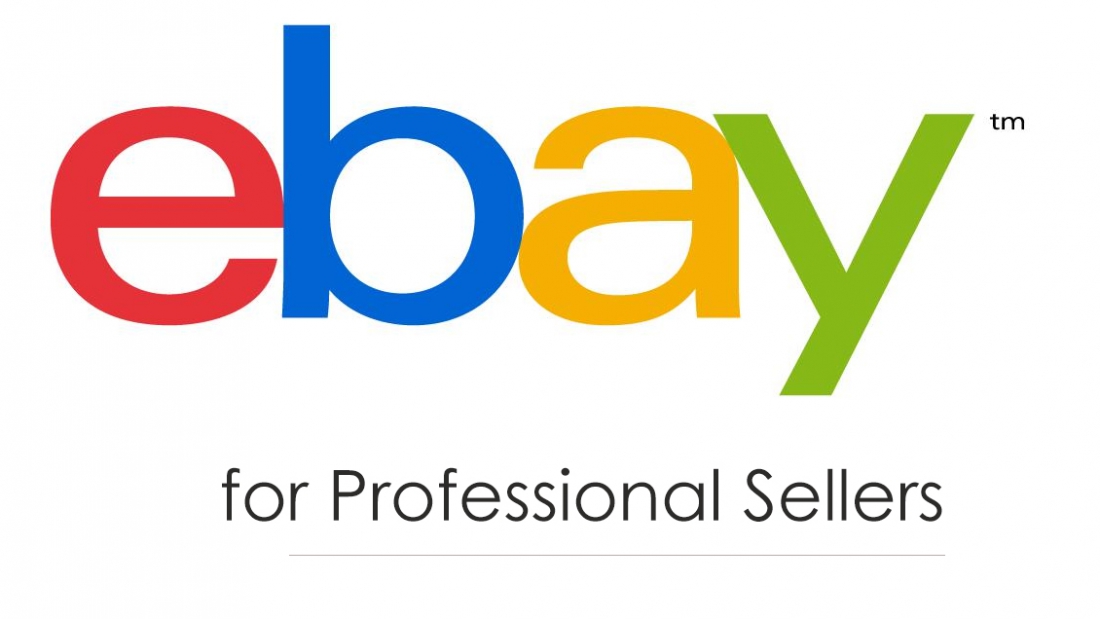 ebay-professional-sellers